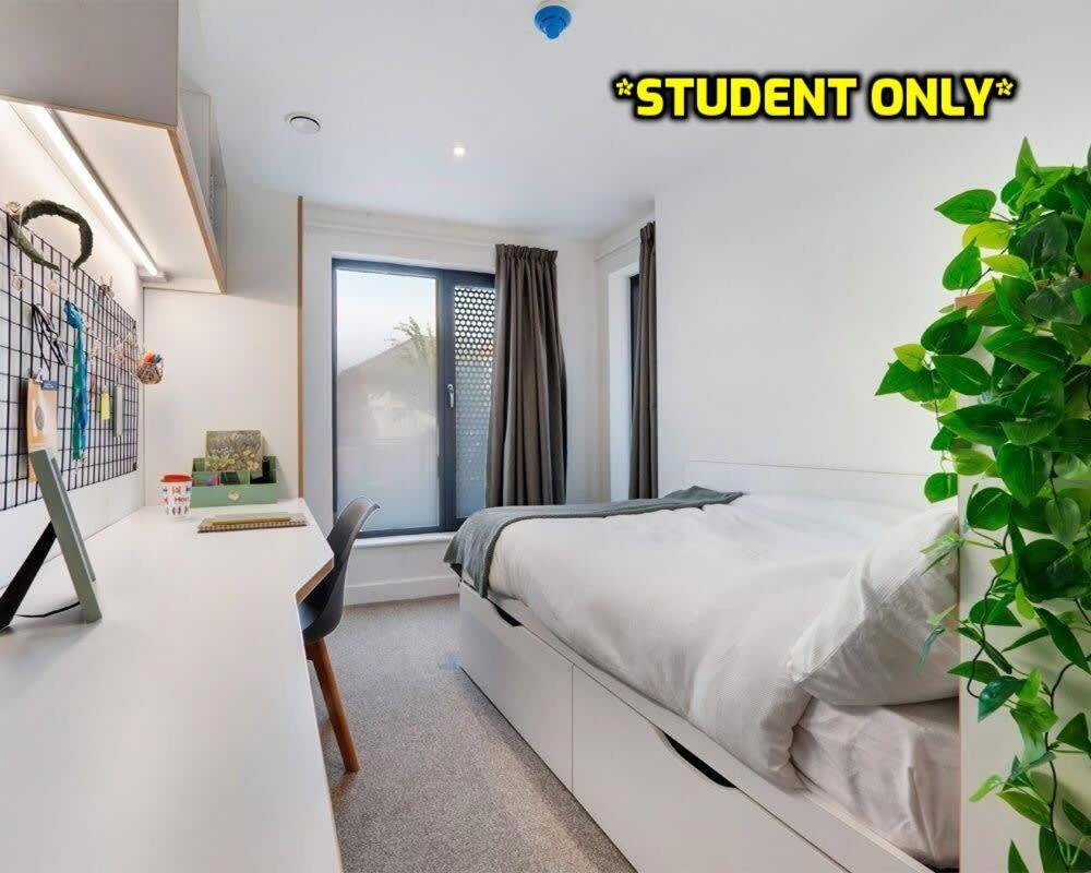Student Only Zeni Ensuite Rooms, Колчестер Екстер'єр фото